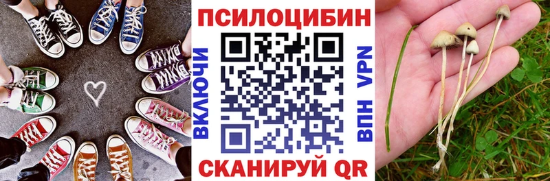 наркотики  Керчь  Псилоцибиновые грибы GOLDEN TEACHER 