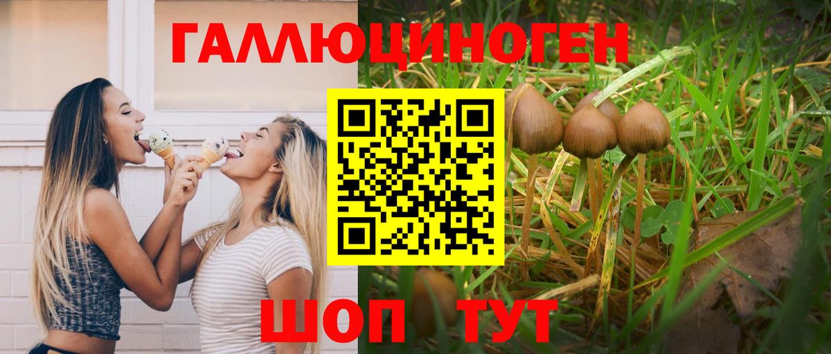 Псилоцибиновые грибы Magic Shrooms Керчь