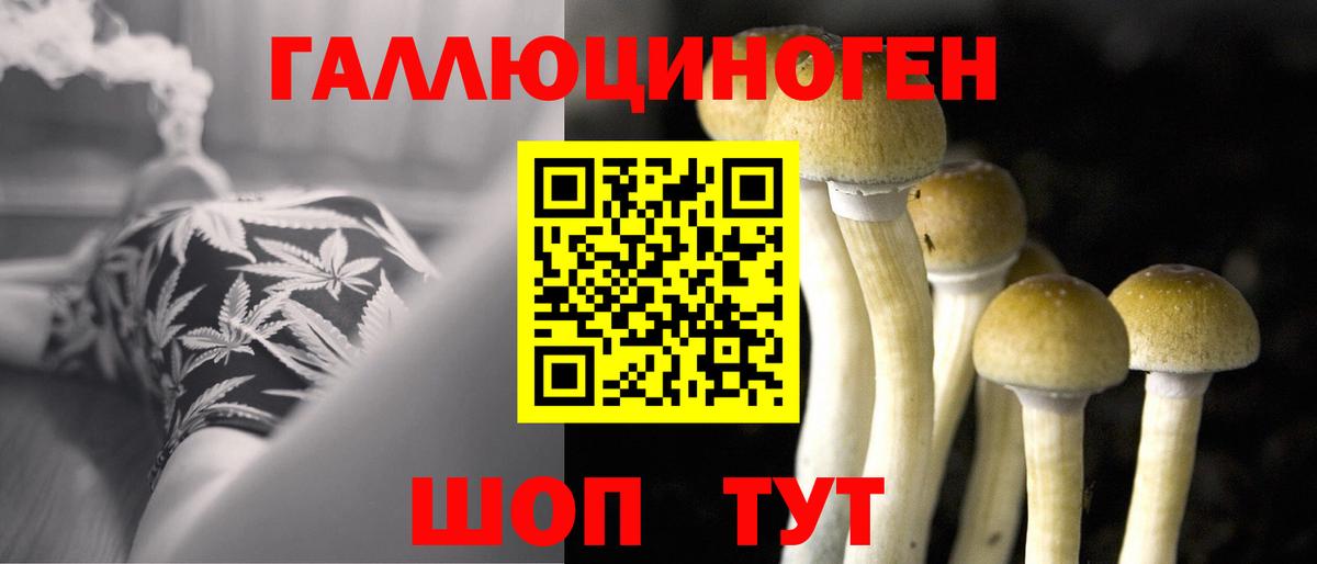 Псилоцибиновые грибы Psilocybine cubensis  Вход с VPN  Керчь  Псилоцибиновые грибы Psilocybine cubensis 